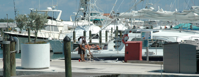 sailingchecklist